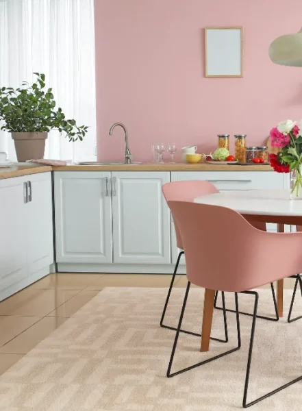 kitchen renovation in wolf trap